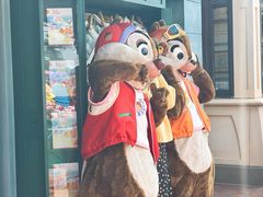 -IL paperino帕帕里诺冰激凌