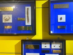 -上海昆虫博物馆