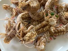 -魚當家
