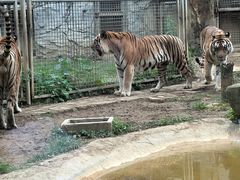 -黔灵山公园