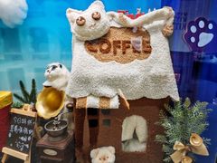 -喵园·猫主题咖啡厅·撸猫·猫咖(国贸店)