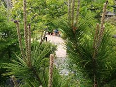 -上海吴淞炮台湾国家湿地公园