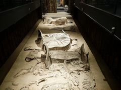 -北京大葆台遗址博物馆