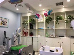 -星童star.kids儿童发型设计·满月胎发(玉兰花园店)