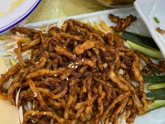-普天和酒楼·新津菜·烤鸭(天津之眼店)