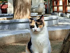 -潭柘寺景区
