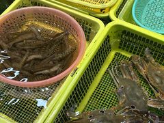 -老字号蛇口德记烧腊饭店·海鲜加工