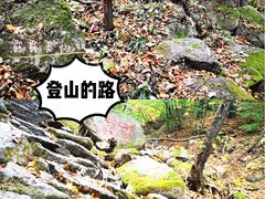 -三块石国家森林公园
