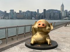 -星光大道