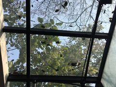 -锦尚阁烤鱼•天津菜(宣武门胡同店)