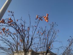 -辛庄国际文化艺术区