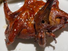 -大鸽饭(岗顶店)
