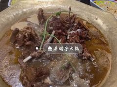 -芦月轩羊蝎子(北蜂窝店)