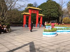 -南山植物园