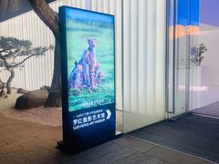 -罗红摄影艺术馆