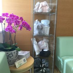 -杭州贝瑞斯美华妇儿医院·早孕·产检·儿科