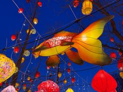 -龙湖星悦荟(颐和店)