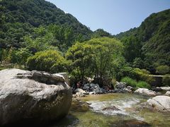 -沣峪口