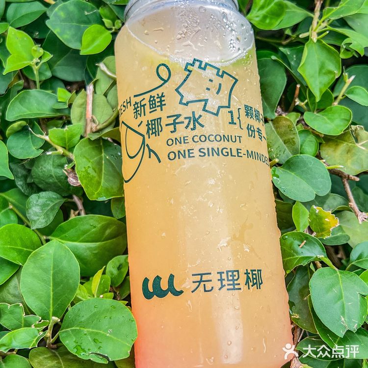 羡慕广州的uu们！能吃到无脑椰…….