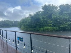 -济州森林小火车生态公园