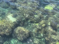 -三亚西岛海洋文化旅游区