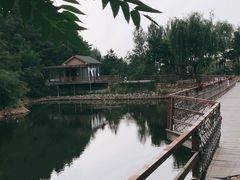 -欢乐松鼠谷