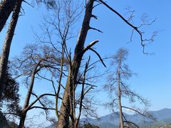 -东南悬空寺方广岩