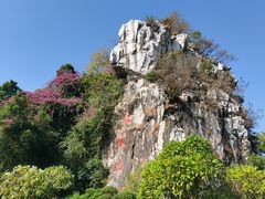 -星湖旅游景区七星岩