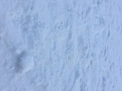-鳌山滑雪度假区