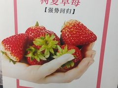 -树夏(建设路店)
