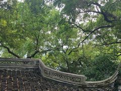 -秋霞圃