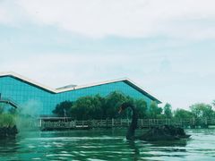 -鄱阳湖国家湿地公园
