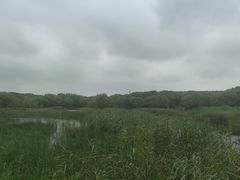 -同里国家湿地公园