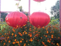 -龙福源密云水库灶台鱼