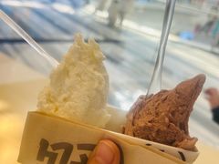-野人牧坊Gelato(天津南开大悦城店)