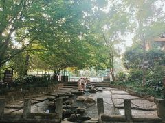 -成都市活水公园