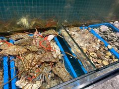 -曼格活海鲜·牛排自助(光明蓝鲸店)