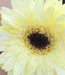 -韩美绣·骨相纹眉·洗眉美瞳线