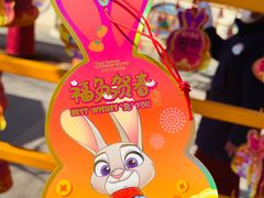 -上海迪士尼度假区