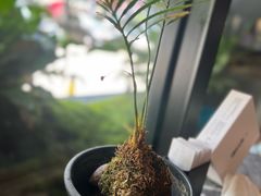 -湘路·湖南钵子菜·宴请(石龙仔店)