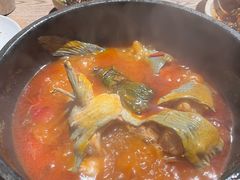 -毛辣果·酸(OHA复兴西路店)