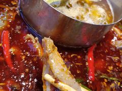 -蜀滋香鲜鱼美蛙火锅(339店)