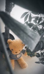 -Angel Fish photography 儿童摄影工作室(亚运村店)