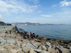 -野狸岛