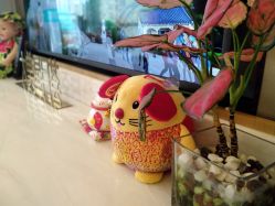 -大美母婴月子中心(希尔顿店)