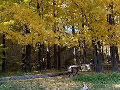 -阳台山自然风景区