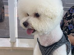 -北京观赏动物医院·24小时大型综合·猫专科·异宠专科
