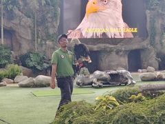 -新加坡飞禽公园