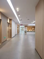 -成都艾特他整形外科医院