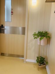 点击看大图 -广州安和泰医学月子会所